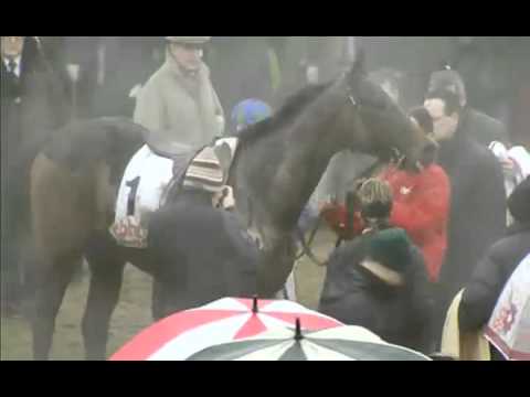 Hurricane Fly improved for Cheltenham 2012