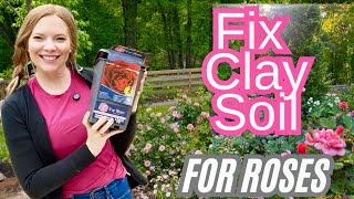 My EASY Clay Soil Secret For Southern Roses And Beyond