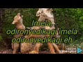 Steve Crown Imela (Lyrics video)