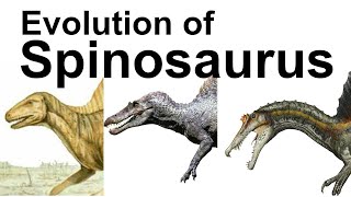 Evolution of Spinosaurus