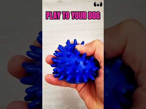 Squeaky toy sounds for dogs  #dogsounds #toys #petsounds