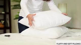 Best 18x18 Pillow Inserts 2026 🛌 Utopia Bedding Set of 2 Test