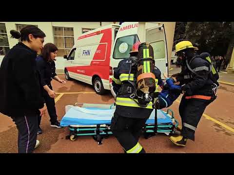 FHN 20 nömrəli məktəb-liseydə təlim keçirib