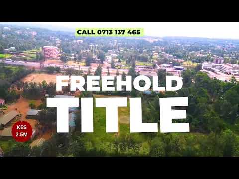 The best place to invest today is Kenol.