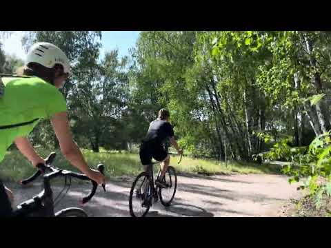 Exploring Aalto University's Natural Beauty: A Campus Unlike Any Other