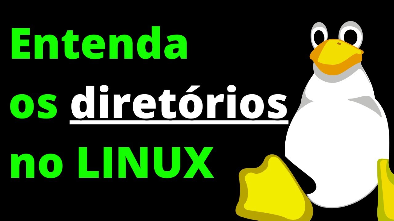 Estrutura do Linux explicada em 20 MINUTOS!