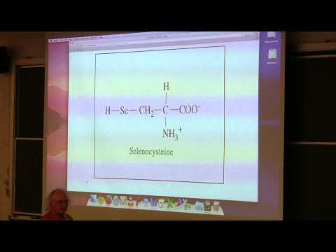 Ahern's BB 350 at OSU - 21. Translation 3 & Biotechnology