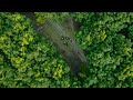 Modhupur Rabar Bagan Tangail Drone View Dji Mavic Mini