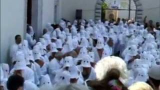 THE WHITE BEATERS ARE BACK / CICCONE YOUTH: MACBETH