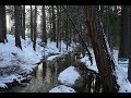 Idyllwild CA - Senior Retreat 2019 - Don Lugo High