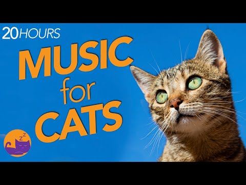 Extra Long Cat Music | ANXIETY | AGGRESSION | DESTRUCTIVE BEHAVIOR RELIEF