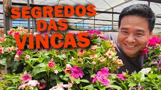 Miniatura do vídeo