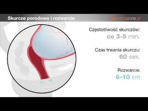 Kupić młot Almaty torus Wzbudzenia dla kobiet w blistrze