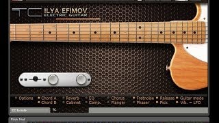 ilya efimov Electric Guitar