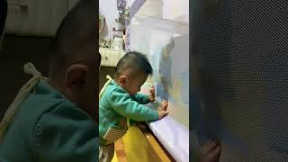 bé yêu tham sở thú #besosinh #min #minboys #baby #lovestatus