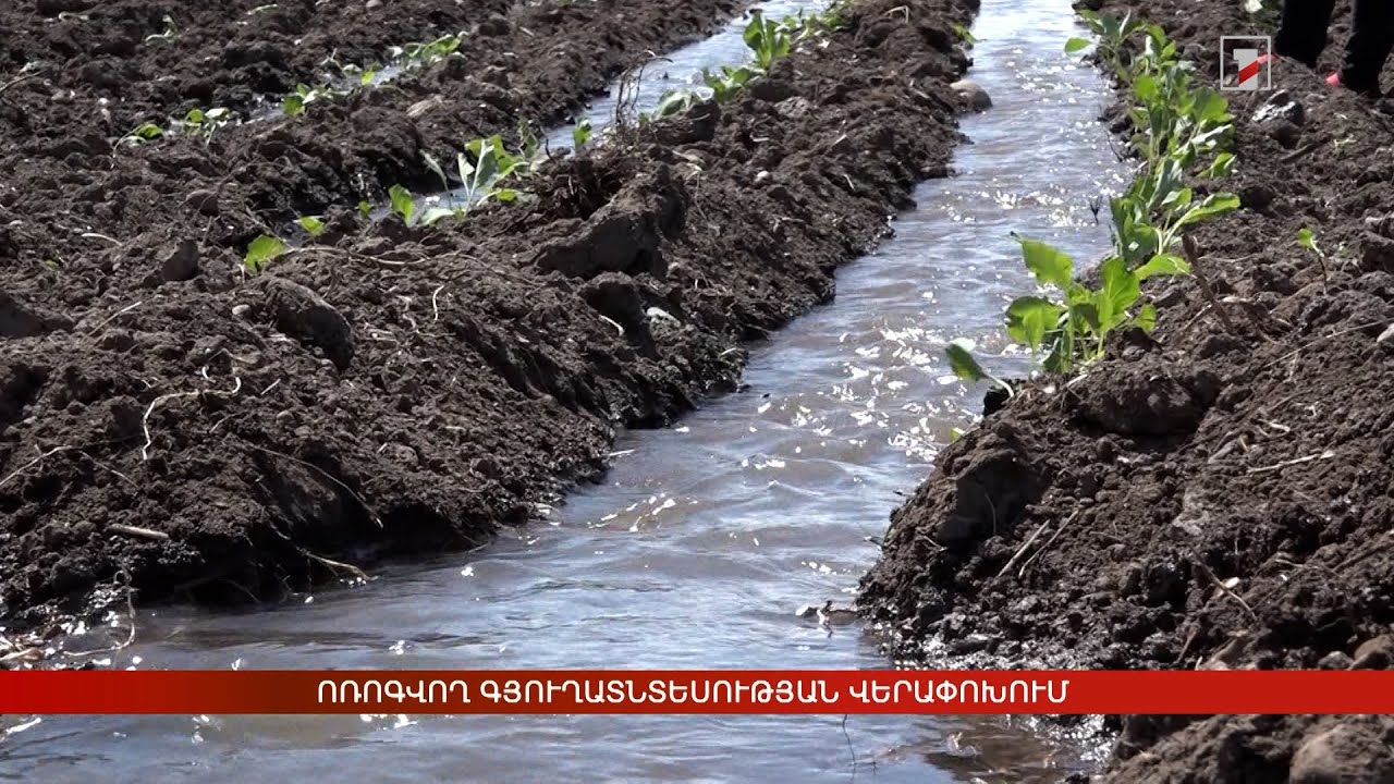 Ոռոգվող գյուղատնտեսության վերափոխում