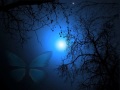 Round MidNight *♥*☆*♥* Kenny G