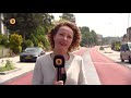 Bewoners Halsterseweg willen geen zomereik in de straat vanwege processierups