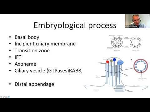 Video: ARPKD and the Liver - Dr Tassos Grammatikopoulos, Consultant Paediatric Hepatologist