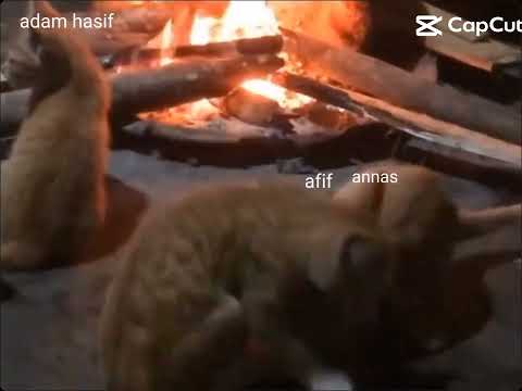 afif and annas😡