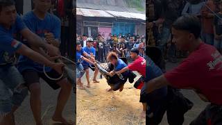 Download lagu Banteng Ngamok diacara Empu Supo Songgoriti! Episode 125 #bantengan #ndadi #jaranan #barongan #short mp3