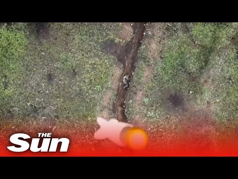 Ukrainian drone fires three grenades at wounded Russian soldier