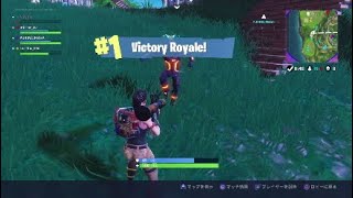 【fortnite】50×50のパーティーゲーム感好き