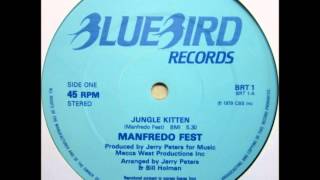 Manfredo Fest  Jungle Kitten