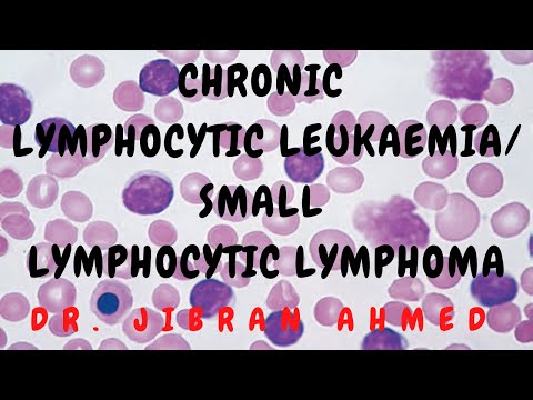 NORMAL HEMATOPOESIS II HEMATOLOGY II ROBBINS 10TH E II DrJIBRANAHMED