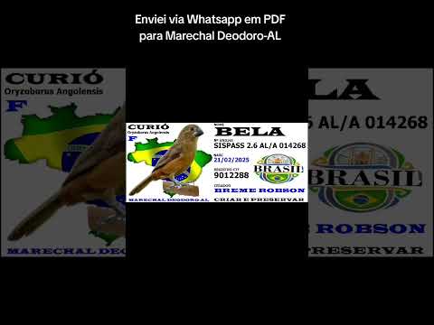 Enviei via Whatsapp em PDF para Marechal Deodoro-AL 🔥🫅