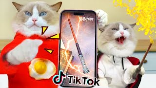 🔬🐾 Puff's Weird and Wonderful Experiments: The Ultimate Hack Compilation!