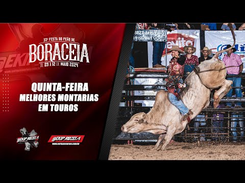 BORACÉIA-SP 2024 | QUINTA / MELHORES MONTARIAS EM TOUROS