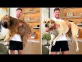 Holding Bigger And Bigger Dogs MrBeast