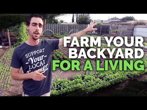 Backyard Farming: 2 Year Market Garden Update of Nature's Always Right Farms Video