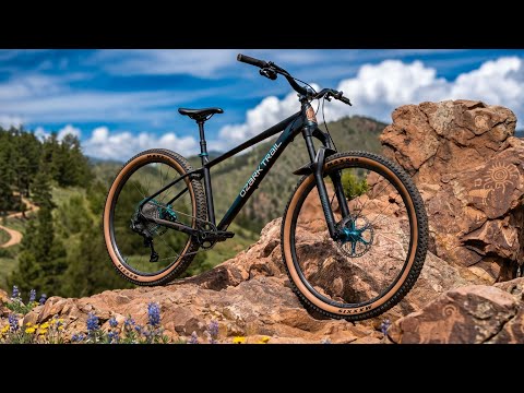 My Walmart Bike Has a Problem... It's Too Good