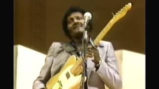 Albert Collins - If Trouble Was Money - Carnegie Hall 1985 (live)