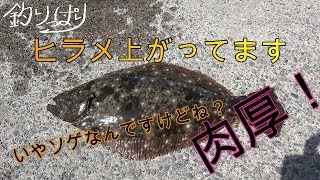 【館山釣り情報】ヒラメ発見！館山港( *´艸｀)4/28～29【釣りっぱり】