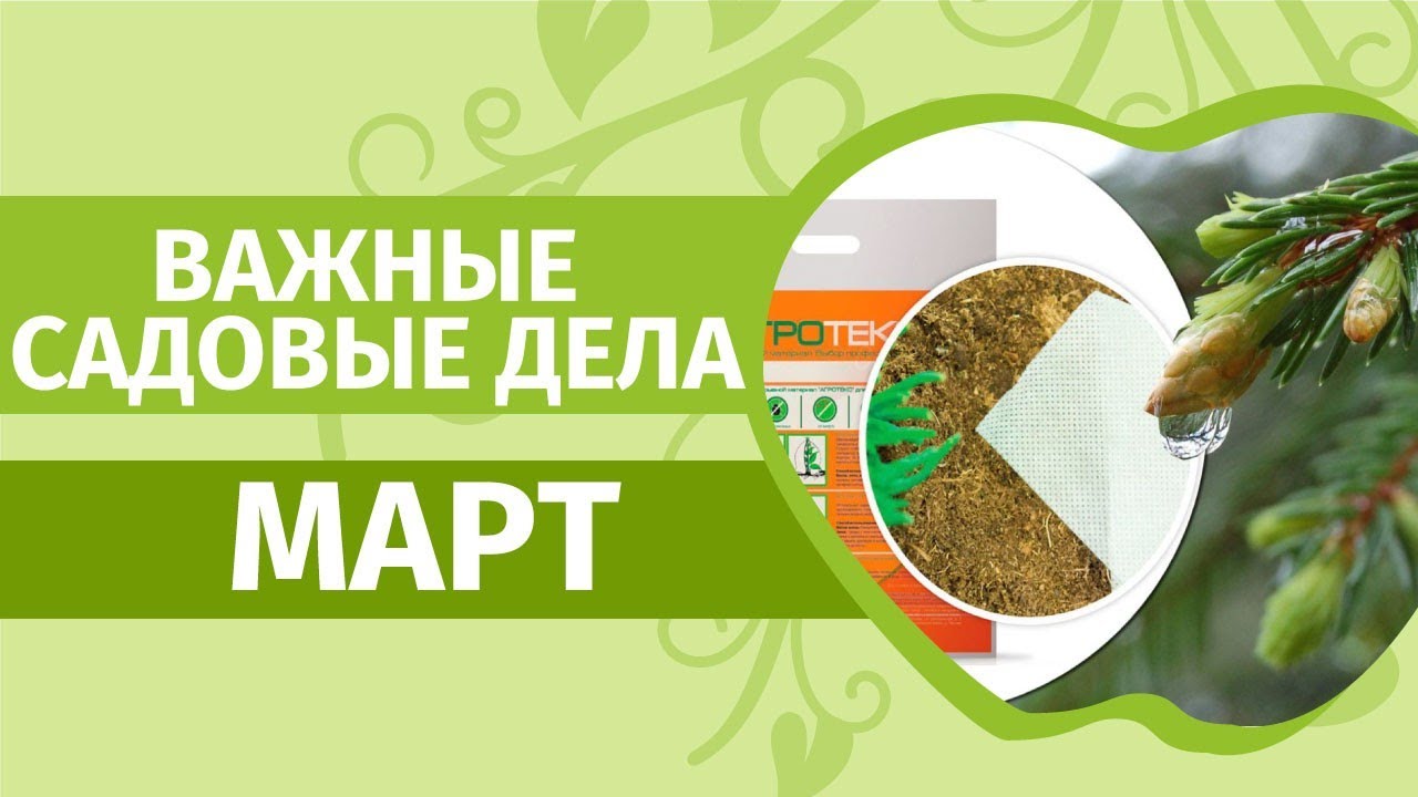 Сад в марте: что не забыть сделать! Обязательно навестите свой сад!