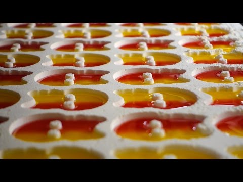 På besök i godisfabriken