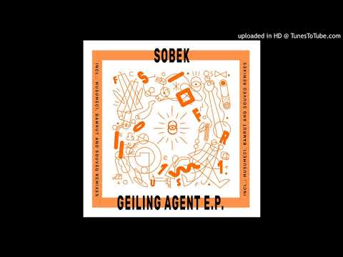 PREMIERE | Sobek - Mr Vibe [Secret Fusion] 2020