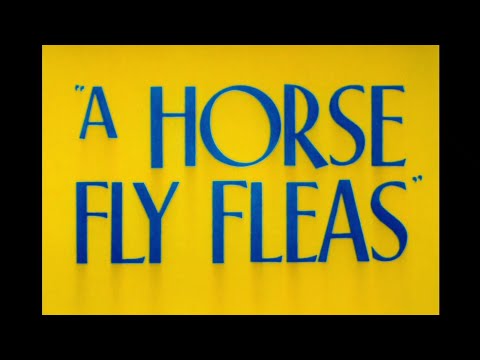 Looney Tunes "A Horsefly Fleas" Opening and Closing