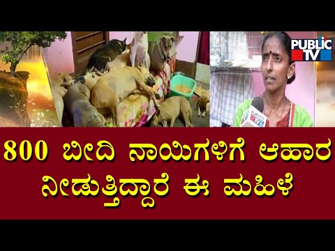 Rajani Shetty Is Providing Food To Over 800 Stray Dogs In Mangaluru | Public TV