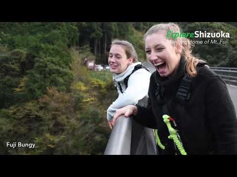 Explore Shizuoka - Off the Tokaido Line - Things to do around ShinFuji Station