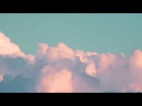 1 Hour of Bach Cello Suite No. 1 | Study Music • Undisturbed