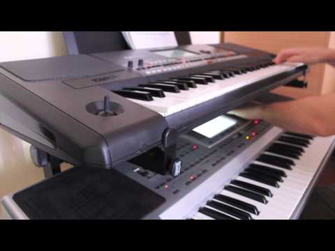 BOGDAN ICHIM - SARBA DOGARULUI