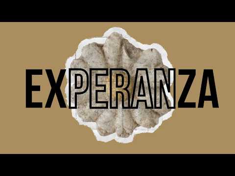 Udbhav - Experanza (Female Cover) (Official Lyric Video)