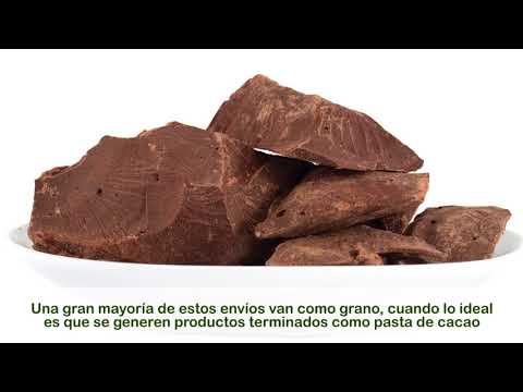 Retos y actualidad del cacao peruano