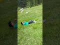 Beautiful Himachal Pradesh Whatsapp Status India Himachal Pradesh Mandi Himachal Pradesh