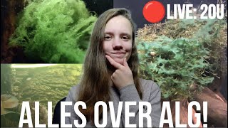 LIVE: ALG BEGRIJPEN: stel AL je VRAGEN! //Nickey//