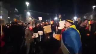 In padurea cu alune - Protest Craiova 02-02-2017